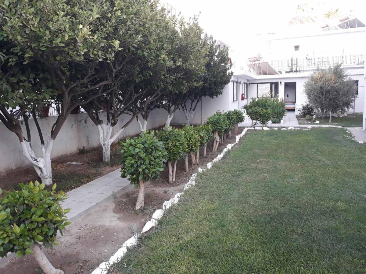 Andavis Hotel (Adults Only) Kardamena  외부 사진